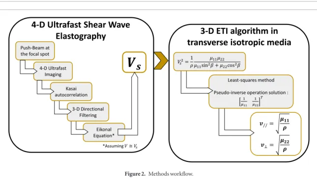 Figure 1.  4D ultrafast shear wave elastography concept using 2D plane-wave transmission