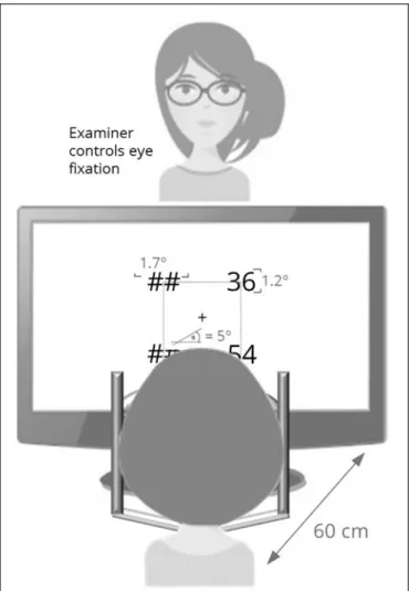 FIGURE 1 | Experimental setup for the lateralized stimulus presentation.