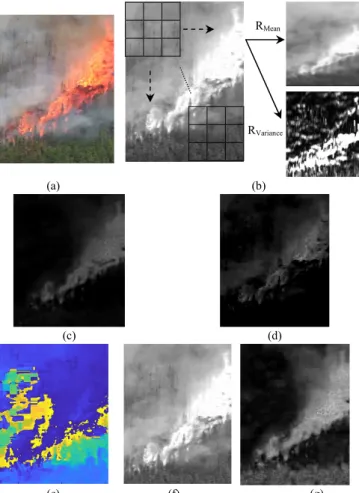 Fig.  2:  Chromatic  and  textural  feature  extracted  for  classification:  (a) RGB  original  image,  (b)  Mean  and  variance  extraction  of  Red  Channel,  (c),  (d)  absolute difference between channels of YCbCr space as defined in Eq