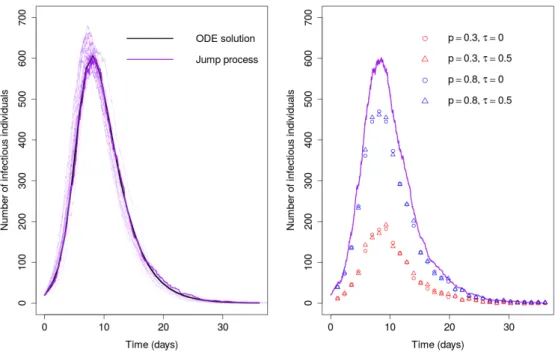 Figure 2: Left panel : ODE solution for the number of infected individuals I (black plain line) and 20 trajectories of the Markov jump process for I (purple lines) when N = 2000