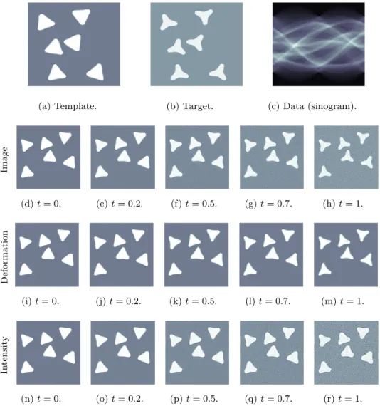 Figure 2: Metamorphosis based indirect-matching of template in (a) against data in (c), which represents 2D ray transform of target in (b) (100 uniformly distributed angles in [0, π])