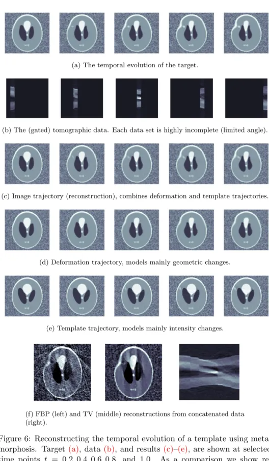 Figure 6: Reconstructing the temporal evolution of a template using meta- meta-morphosis