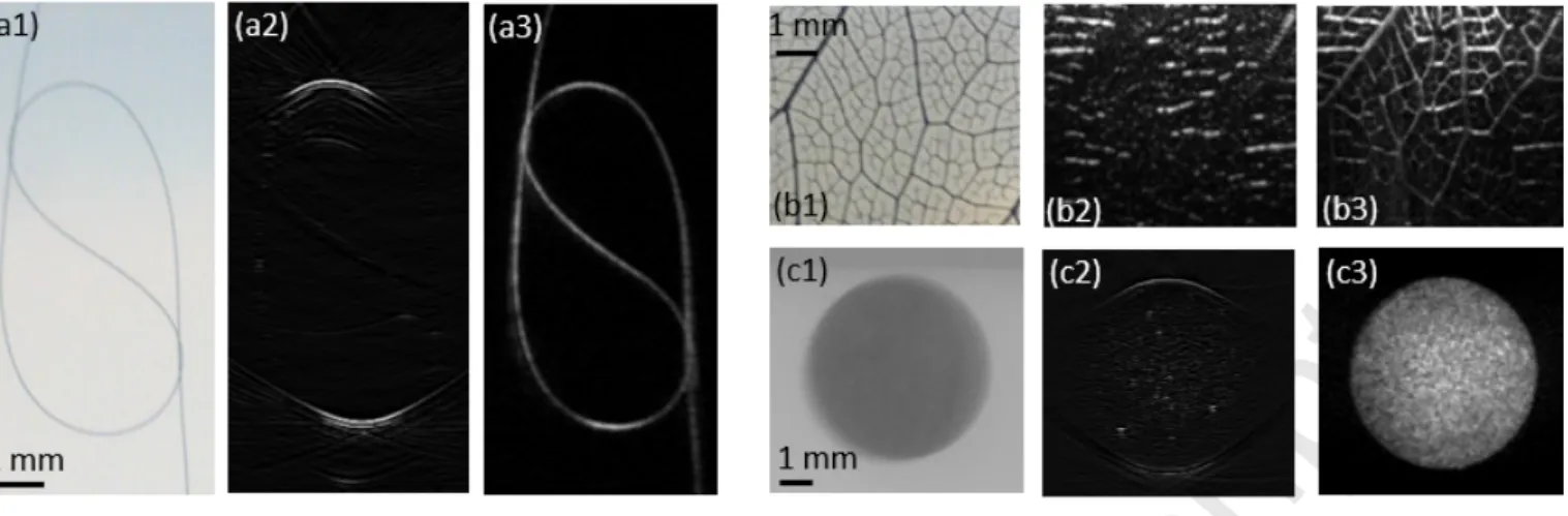 Figure 7: Photoacoustic imaging with multiple speckle illumination. The experimental setup is similar to that of Fig