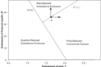 Figure 2. Risk rationing and activity choice