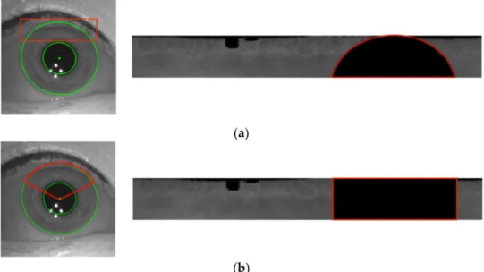 Figure 7. (a) Rectangular mask used in present work; (b) a fan-shaped mask.