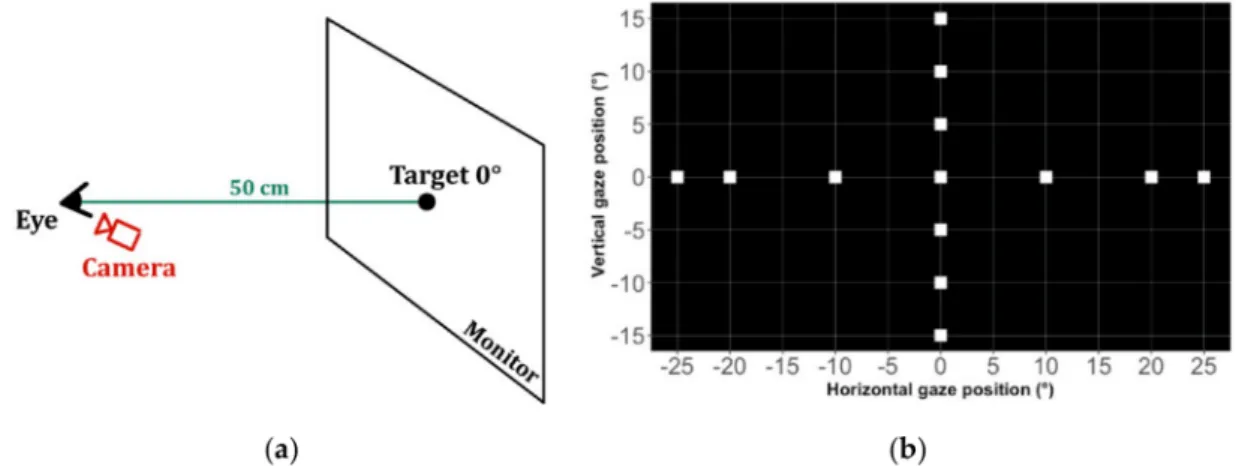 Figure 11. (a) Illustration of the experimental setup; (b) displayed targets (white squares) on the monitor