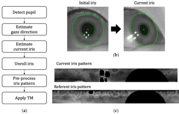 Figure 1. (a) Main steps of the proposed method of eye torsion measurement; (b) the initial iris is transformed according to the gaze direction to estimate current iris; (c) the TM algorithm is applied to measure the shift of current unrolled iris pattern 