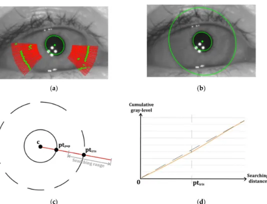Figure 2. (a) The pupil (green ellipse) is firstly detected at referent eye position. Several searching rays (red) are projected in radial directions to detect candidate iris boundary points (green); (b) result of initial iris detection at referent eye pos