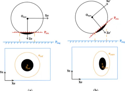 Figure 4a illustrates the top view of the eye coordinate frame 