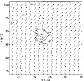 Fig. 8. High-resolution 共 0.7 ␮ m ⫻ 1.5 ␮ m, lateral ⫻ axial 兲 bire- bire-fringence image of the multilayer; XZ cut; same noise level as in Fig
