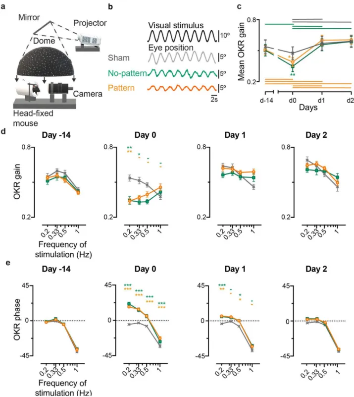 Figure 2.  Effects of the VVM on OKR. (a) Representation of the set-up used to test OKR