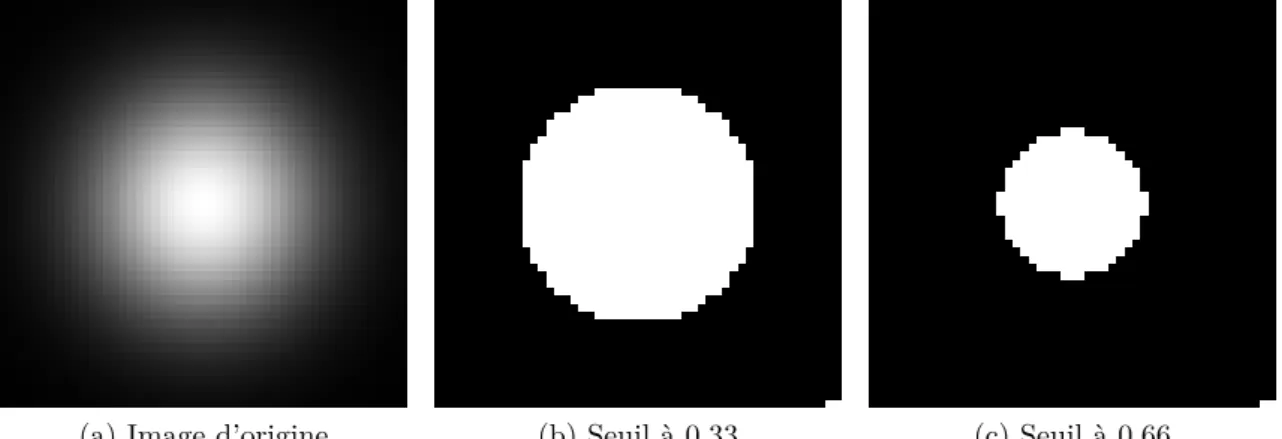 Figure 2.13 – Exemple d’image seuillée avec deux niveaux calculés comme pourcentage de la dynamique globale.