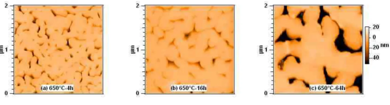 FIG. 2: AFM images obtained after acid etching on glass samples annealed at 650 ◦ C over 4h, 16h and 64h respectively