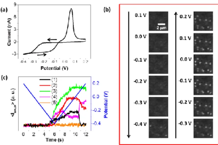 Figure 2: Optical and electrochemical monitoring of a CV in a potential range of 0.2 to - -0.4V  at  a  rate  of  0.1V/s