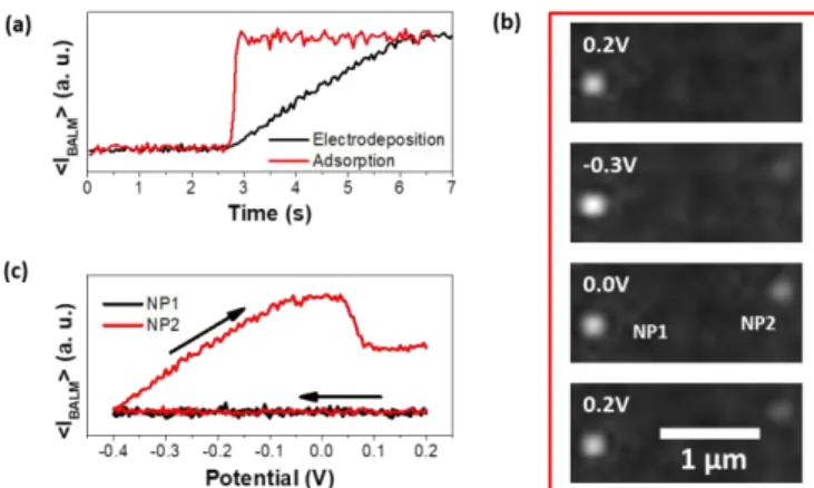 Figure 3: Differentiation of the NP reduction process and the NP surface chemistry. (a)  Time-intensity  transients  recorded  with  BALM  for  a  NP  adsorption  (red)  and  a  NP  electrodeposition  (black)