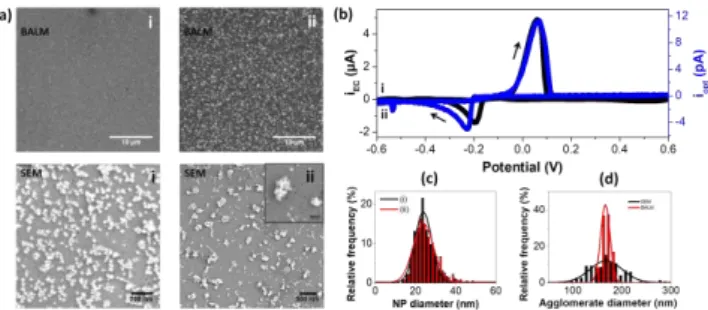 Figure  6:  In-situ  monitoring  of  NP  stripping  and  further  reduction.  (a)  BALM  and  SEM  images recorded at the beginning (i) and at the end (ii) of the potential sweep from -0.6 