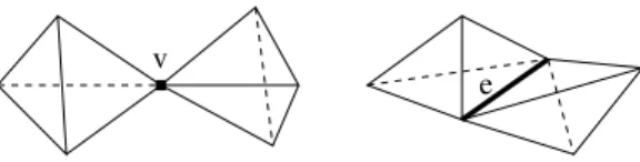 Figure 2: Surface singularities defined by two freespace tetrahedra in matter space.