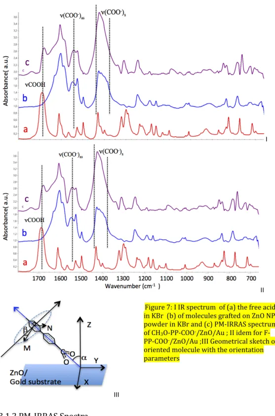 Figure  7.I  compares  the  PM-IRRAS  spectra  of  CH 3 O-PP-COOH  /ZnO  film  deposited  on  a  gold  substrate with the IR absorption spectra of the molecules free or grafted onto ZnO NPs, both in 