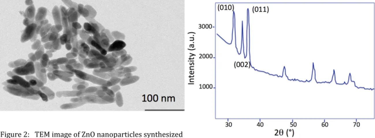 Figure 2:   TEM image of ZnO nanoparticles synthesized 