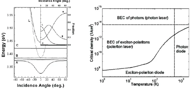 Figure 3.2 | Theoretical predictions for a ZnO polariton laser [79]: (left) Eigenenergies of the ZnO cavity modes versus the incidence angle