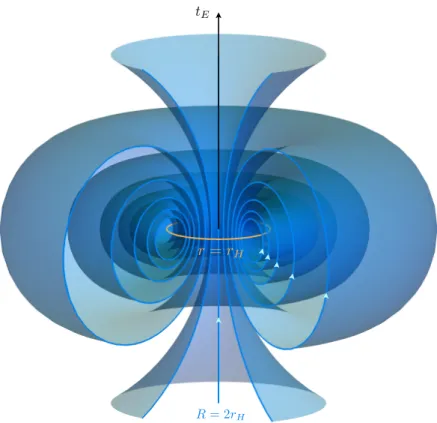 FIG. 4: Three dimensional representation of the flow of the conformal Killing field in the Euclidean spacetime R 4 