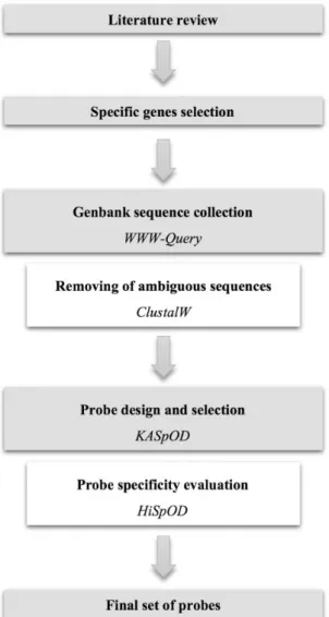 Figure 1. Overview of the database construction workflow.