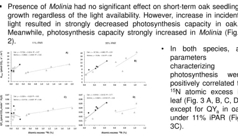 Fig. 3 Relationships between maximum gross assimilation (A max ), apparent quantum yield (QY a ) and atomic excess 15 N (%) in leaves in oak (Quercus petraea (Matt.) Liebl.) seedlings and Molinia (Molinia caerulea (L.) Moench) when oak was sole-grown (SP) 