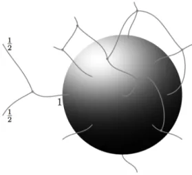 FIG. 7: Quantum states of the bulk space-geometry are represented by spin network states