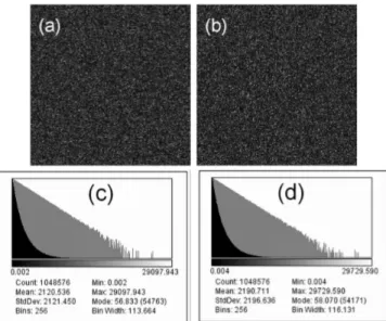 FIG. 10: Principe of calculation of the Monte Carlo odd frames I n ′′ (x, y) from I 1 (x, y) recorded without object  illumi-nation.