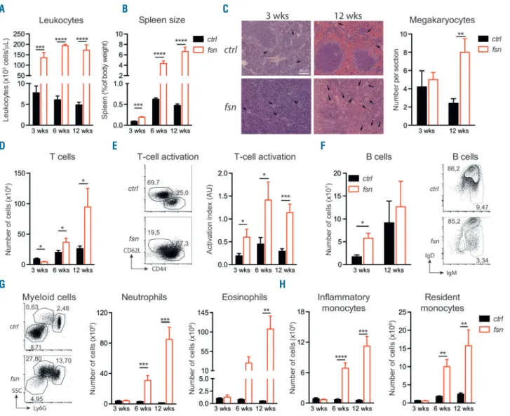 Figure 1. Ttc7a-deficiency perturbs homeostasis of all immune populations. Control littermates (ctrl – black bars) and Ttc7a-deficient (fsn – red bars) mice were analyzed at 3, 6 and 12 weeks of age (mean ± standard error of mean) *P<0.05; **P<0.01; 