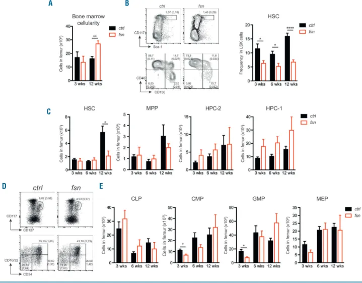 Figure 2. Ttc7a-deficiency alters the hematopoietic stem and progenitor cell compartment