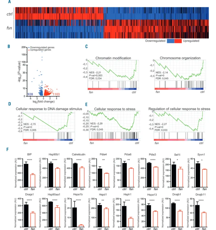 Figure 6. Ttc7a deficiency results in reduced expression of endoplasmic reticulum stress response genes in hematopoietic stem cells