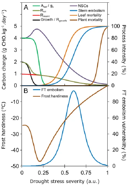 Figure 2. A. Processes and pools affected by drought stress intensity (Photosynthesis A net , stomatal  conductance  gs,  respiration  (growth  R growth ,  maintenance  R maint   and  total  R tot ),  non  structural  carbohydrates (NSCs), stem embolism, l