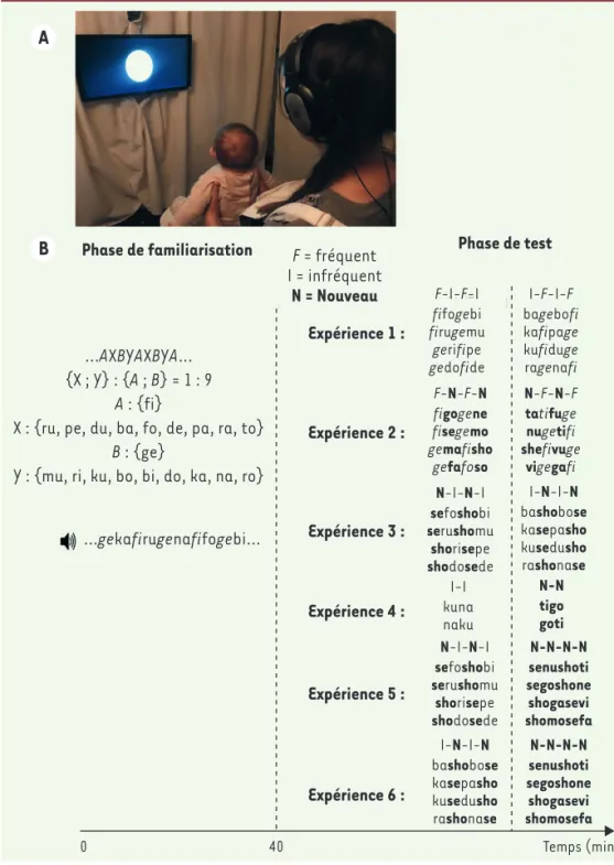 Figure 1.  Phases de familiarisation  et de test. A. Exemple d’un enfant  en train d’effectuer la tâche  d’ap-prentissage de notre mini-langue  inventée