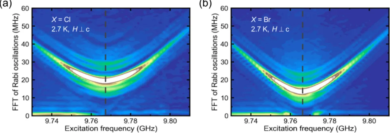 FIG. 7. Fourier transform of Rabi oscillations with different excitation frequencies at 2.7 K and with H ⊥ c for (a) (o-DMTTF) 2 Cl and (b) (o-DMTTF) 2 Br, respectively
