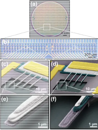 Fig. 1.  (a) Wafer-scale fabrication of wafer. (b) Each chip is composed o scanning electron microscope (SEM) cantilevers with geometries A and B  The color code use is the same for the two configurations for the multilayer st