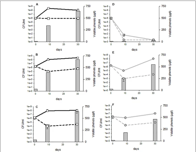 FIGURE 6 | Volatile phenols concentrations and cultivable population evolution in control (A–C) or 4 g/hL fungal chitosan F1 treated wines (D–F)