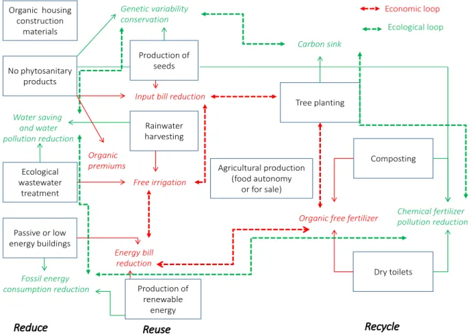 Figure 3. Economic and ecological loops