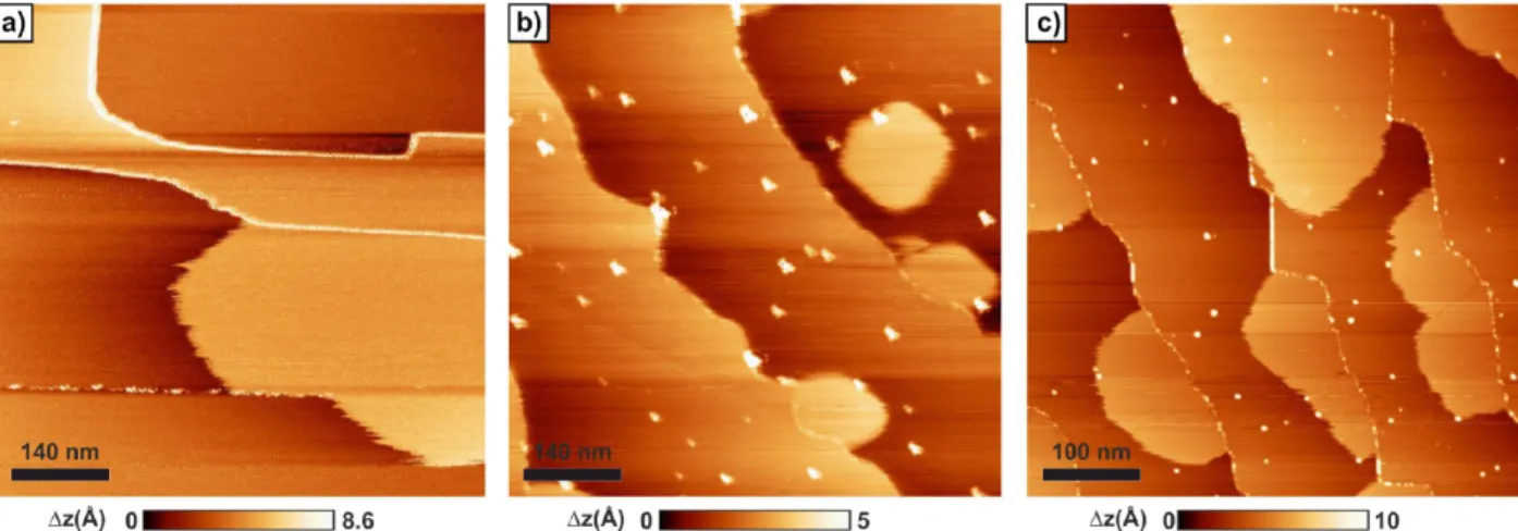 Figure 3. (a) Overview of both the porous structure and the line structure formed by TCB molecules on the KCl (001) surface at room temperature.