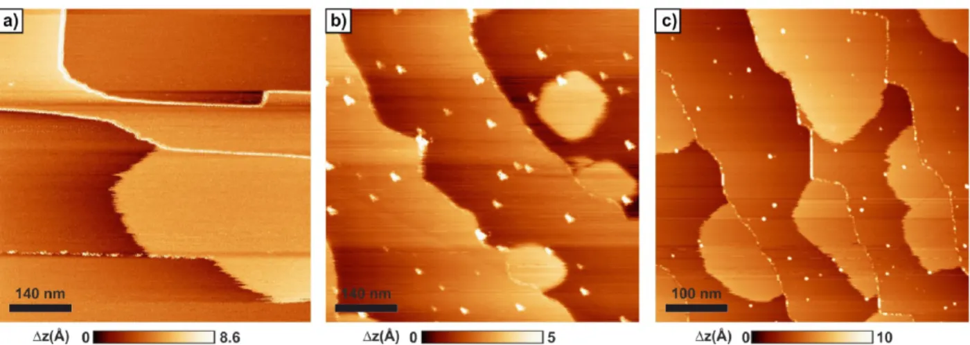 Figure 3. (a) Overview of both the porous structure and the line structure formed by TCB molecules on the KCl (001) surface at room temperature.