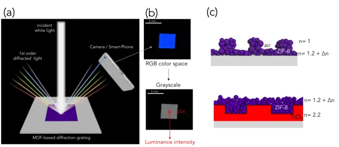 Figure 4 (a) Illustration of the experimental set-up for the detection by a simple camera; (b)  photographs  of  the  diffracting  grating  in  colors  and  gray-scale  taken  a  smart  phone   photo-camera;  illustration  of  the  patterned  ZIF-8  and  Z