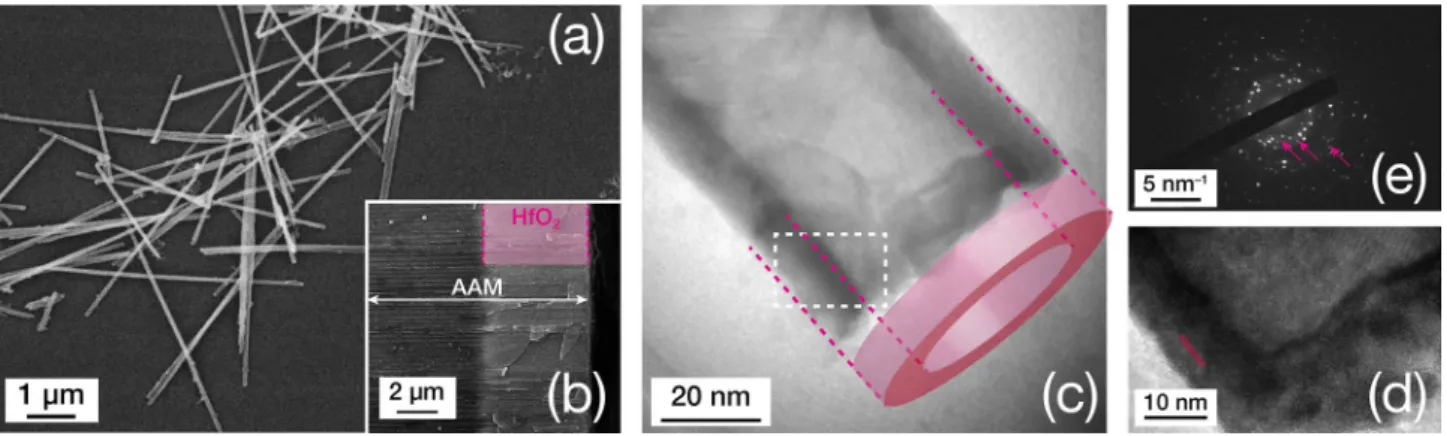 Fig. 3   a SEM top view of HfO 2  nanotubes after AAM dissolution  in chromic acid. b SEM cross section of an AAM template after the  ALD of HfO 2 