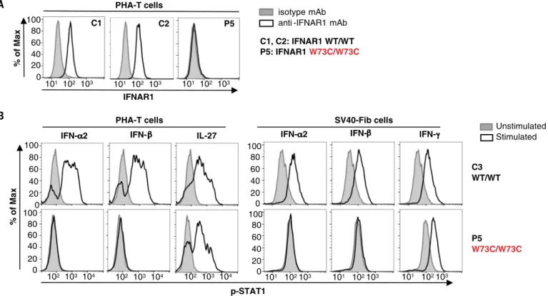 Fig. 5. Type I IFN responses in patient cells defective for IFNAR1. (A) FACS staining of IFNAR1 on the surface of PHA-T cells from a patient with AR IFNAR1 deficiency (P5) and healthy donors (C1 and C2)