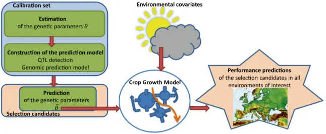 Fig. 1   Schematic representation of the CGM-MAS approach. The  CGM predicts the performance of the selection candidates in various  environments using the (predicted) genetic parameters and the  envi-ronmental covariates as inputs