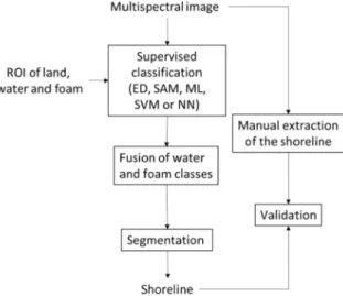 Figure 4. Flowchart of the classification methodology. ROI stands for “Region Of Interest”.