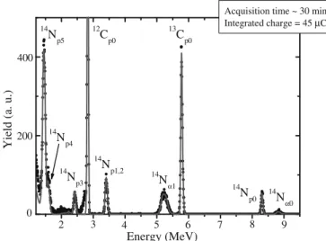Fig. 1 shows the experimental spectrum recorded at 150° (NRA detector) for the sample simultaneously implanted with 13 C and