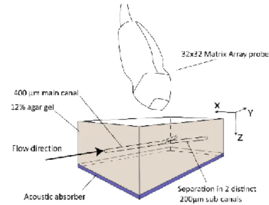 Fig 1. Experimental setup : schematics of the agar gel containing  the wall-less bifurcating canals 