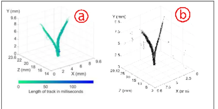 Figure  4.  Cumulated  scatter  plot  of  each  centre  of  microbubbles  detected for different concentrations pre and post-tracking 4