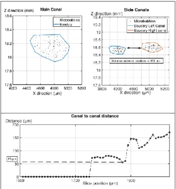 Figure 7. Velocity profiles in two orthogonal slices 