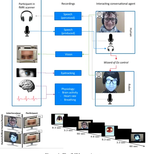 Figure 2: Schema of the BrainPredict tool.